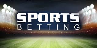 All You Need to Know About hulusport bet
