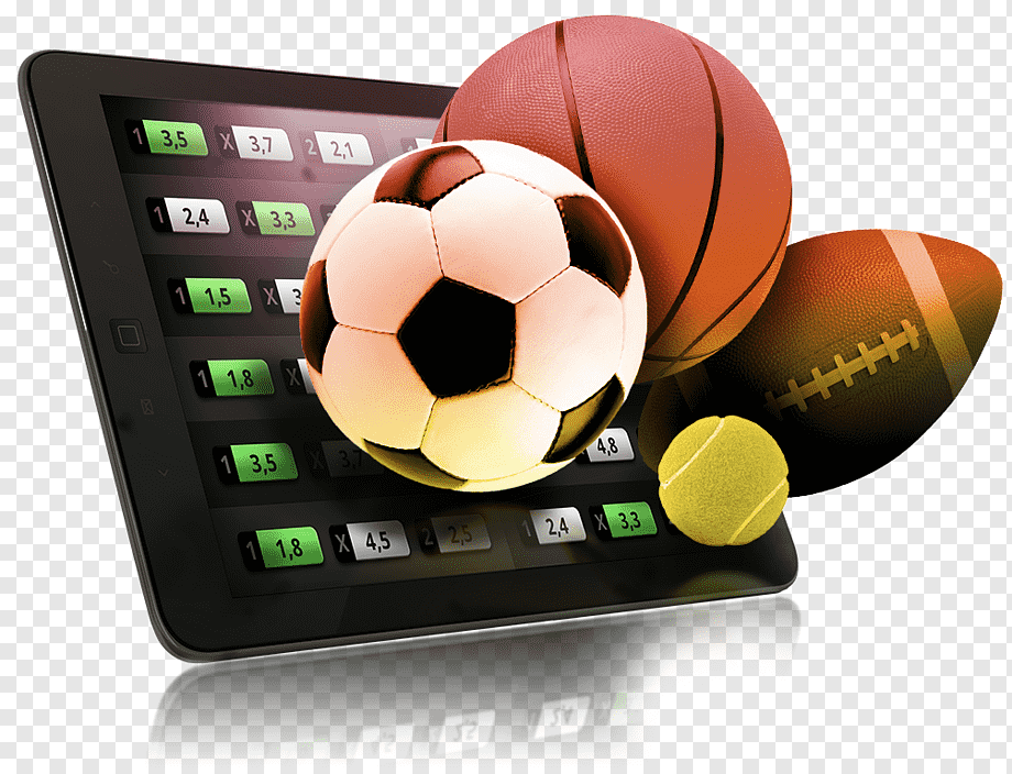Casinos That Don’t Track Your Activity 24