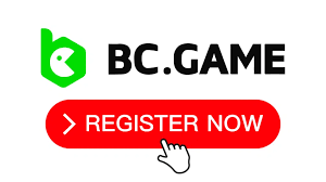 Everything You Need to Know About BC.Game Bet
